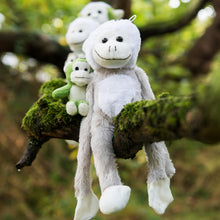 Afbeelding in Gallery-weergave laden, Grote grijze aap